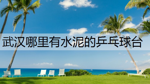 武汉哪里有水泥的乒乓球台