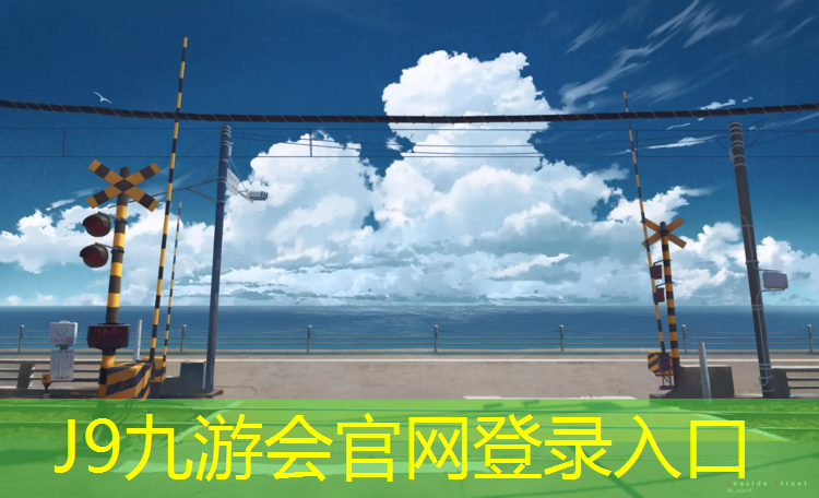 J9九游会官网：网球网钢丝绳