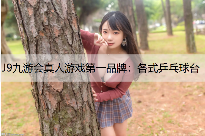 各式乒乓球台