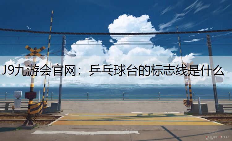 乒乓球台的标志线是什么 乒乓球台的标志线是什么