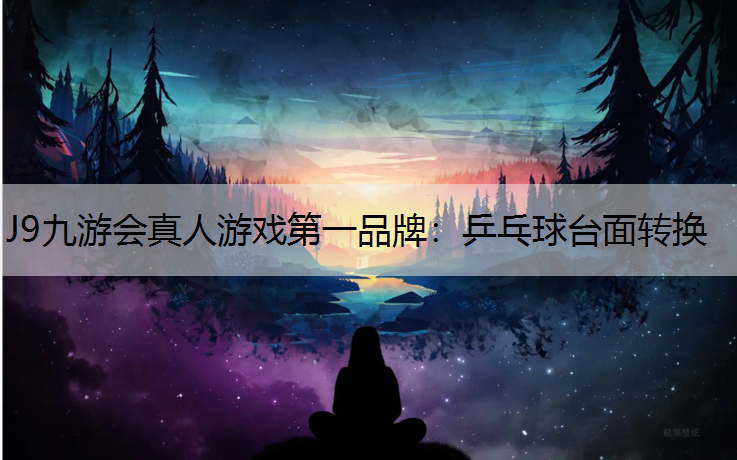 乒乓球台面转换
