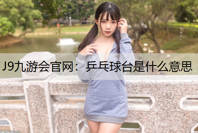 乒乓球台是什么意思