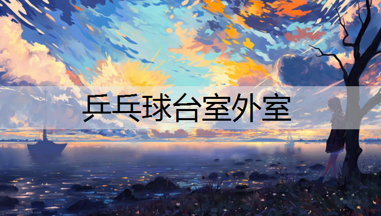 乒乓球台室外室