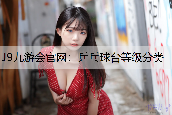 乒乓球台等级分类