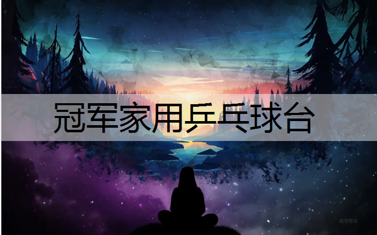冠军家用乒乓球台