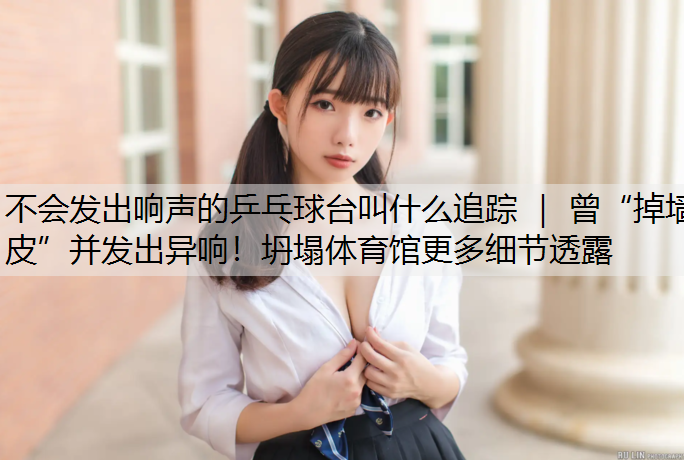 不会发出响声的乒乓球台叫什么追踪 ｜ 曾“掉墙皮”并发出异响！坍塌体育馆更多细节透露
